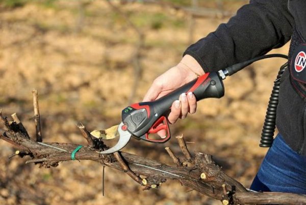 ELECTROCOUP F3015 INFACO