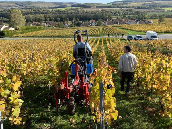 GEIER 45 - Chenillard vigne étroite – Image 6