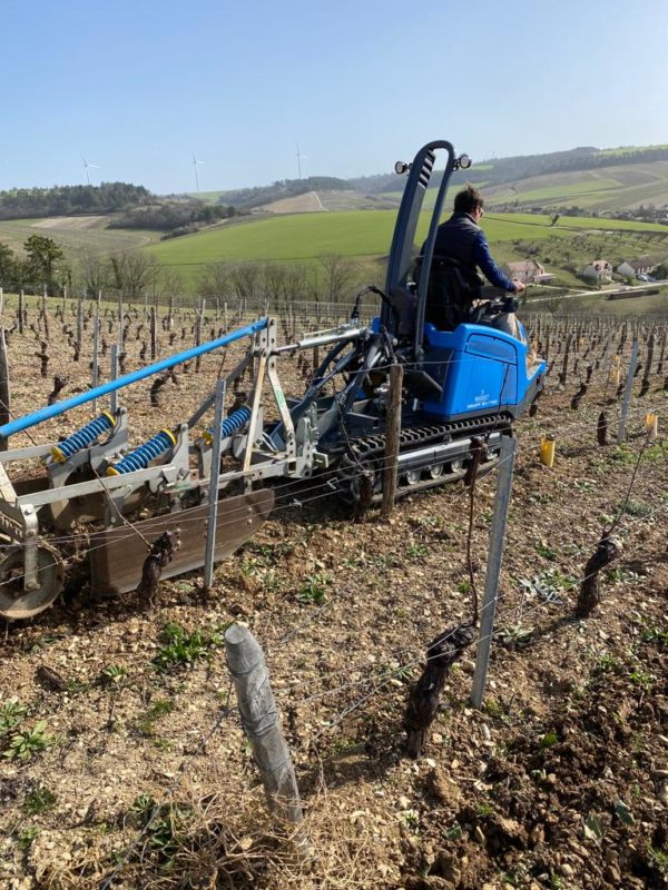 GEIER 64 - le chenillard vigne semi large – Image 13