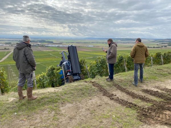 GEIER 64 - le chenillard vigne semi large – Image 3