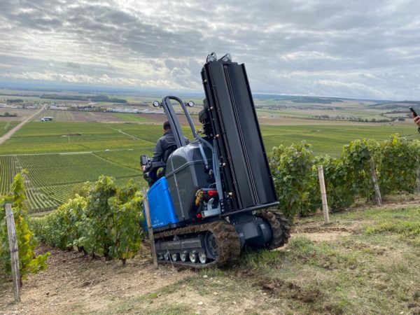 GEIER 64 - le chenillard vigne semi large – Image 4
